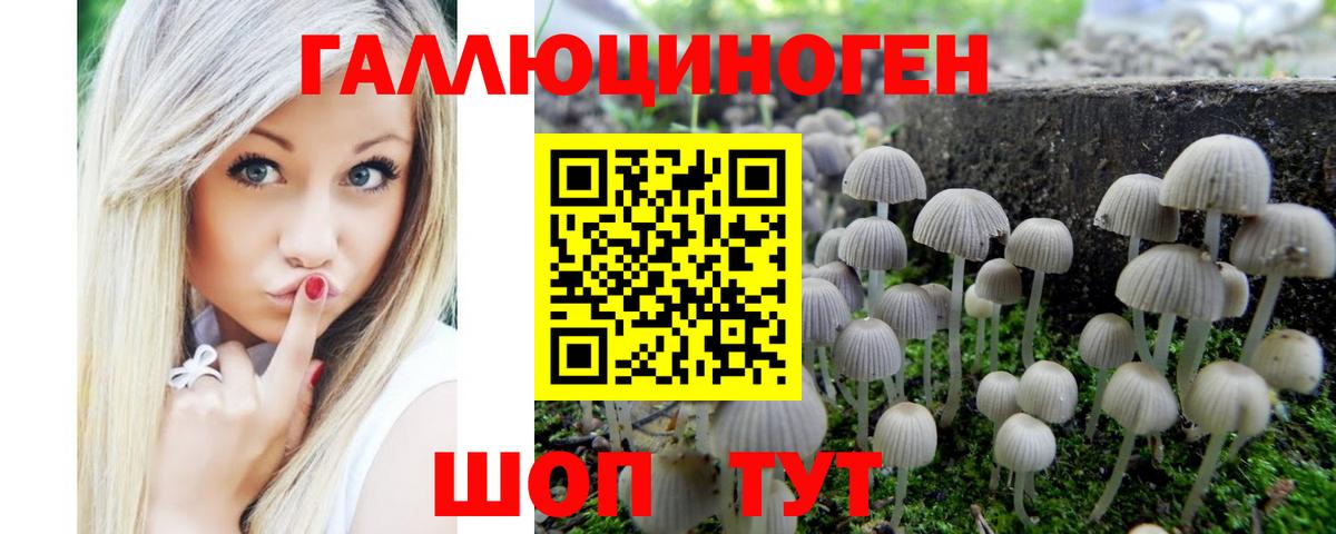 Кстово  Псилоцибиновые грибы ЛСД  купить   Вход с VPN 
